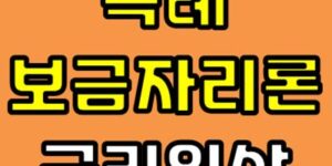 특례보금자리론 금리인상