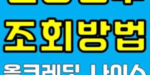 신용점수 조회