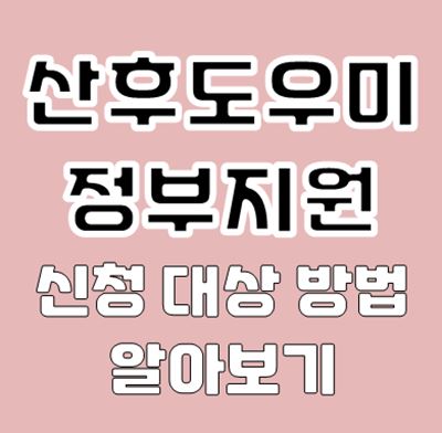 산후도우미 정부지원