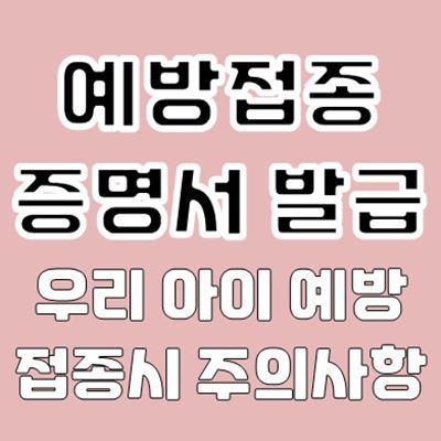 예방접종증명서 발급 방법 (예방접종도우미 사이트)