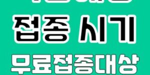 독감예방접종 시기 무료대상 접종비용 확인하기