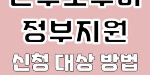 산후도우미 정부지원
