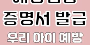 예방접종증명서 발급 방법 (예방접종도우미 사이트)