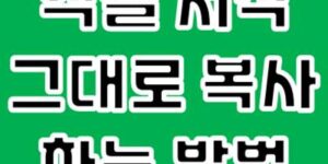 엑셀 서식 그대로 복사 방법
