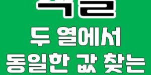 Excel 엑셀 두 열에서 동일한 값 찾는 방법 3가지 팁